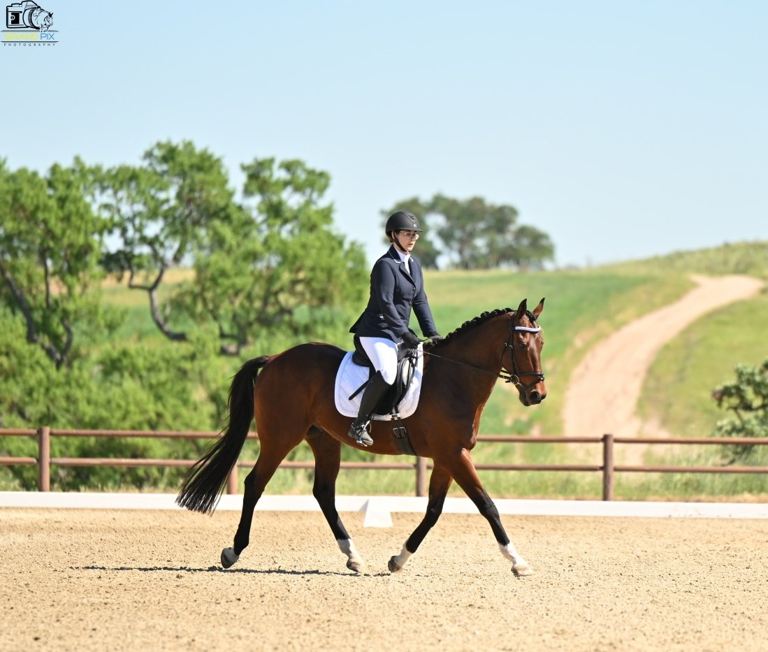 y'allternative tweet media