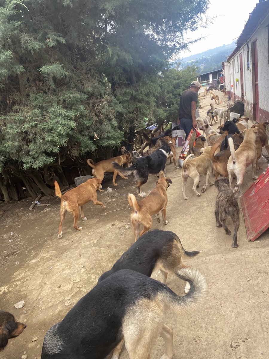 Oceanican tweet media