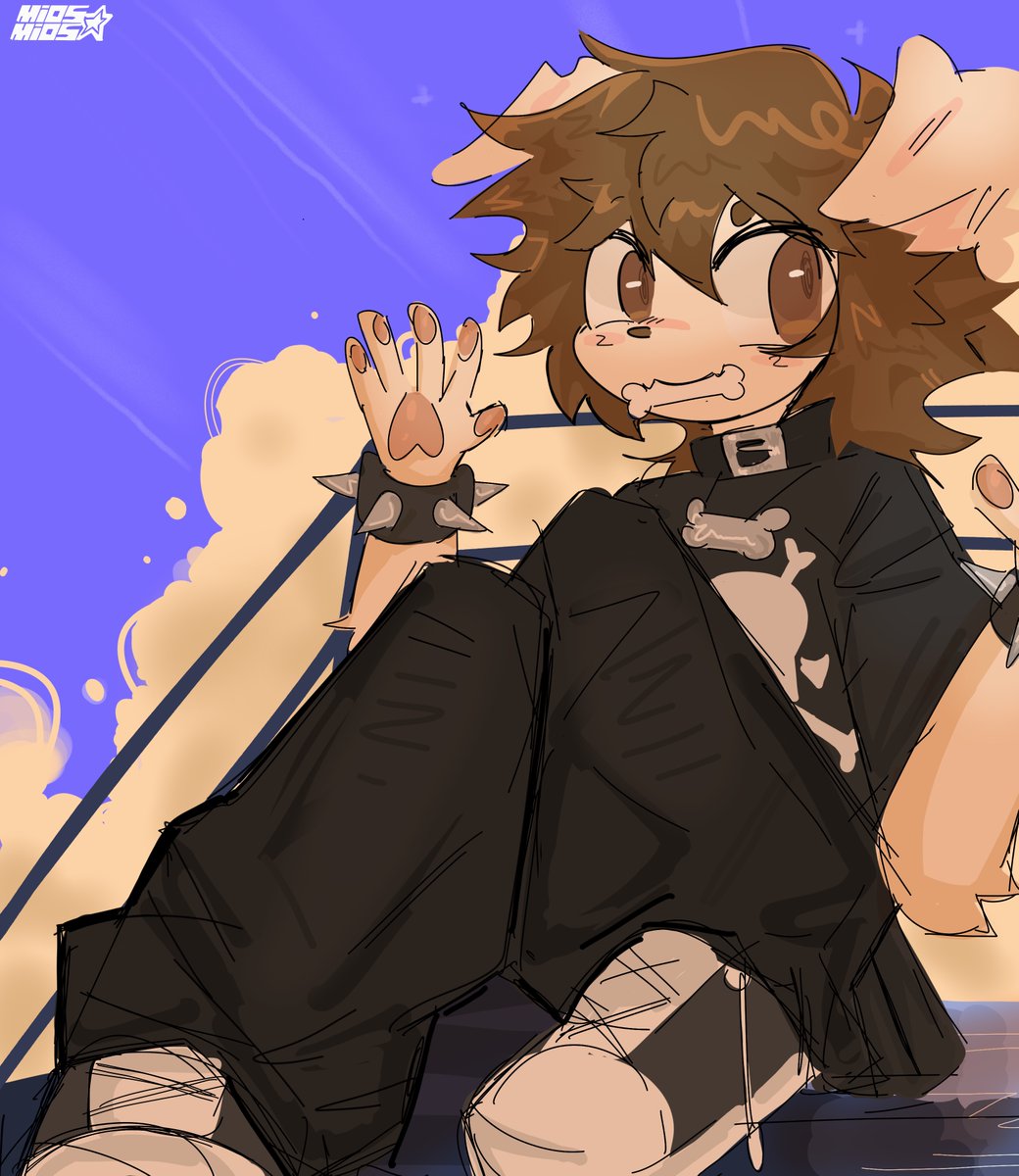 MiosMios tweet media