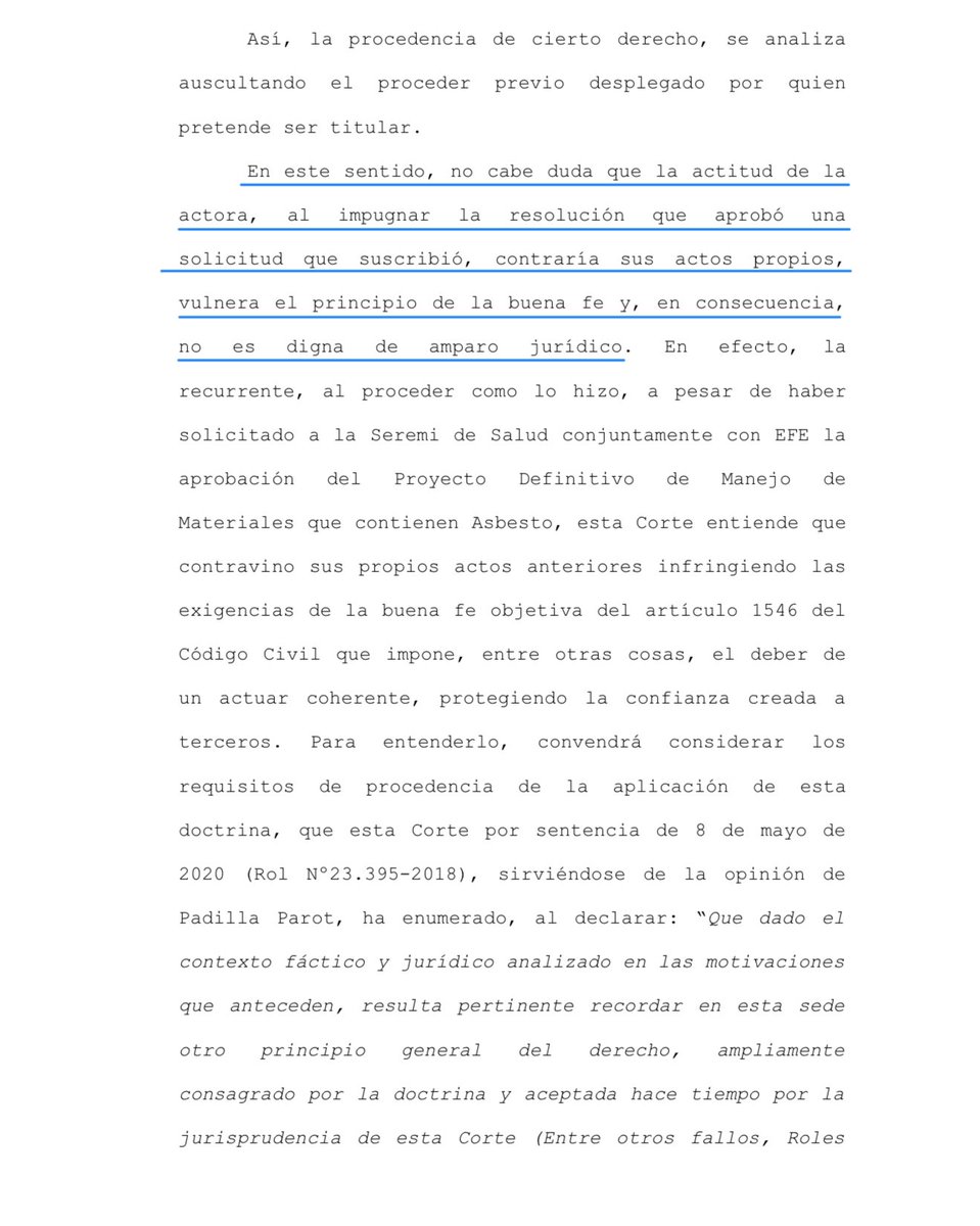 Alejandra tweet media