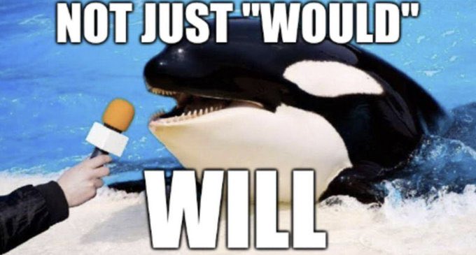 Preston Garvey tweet media