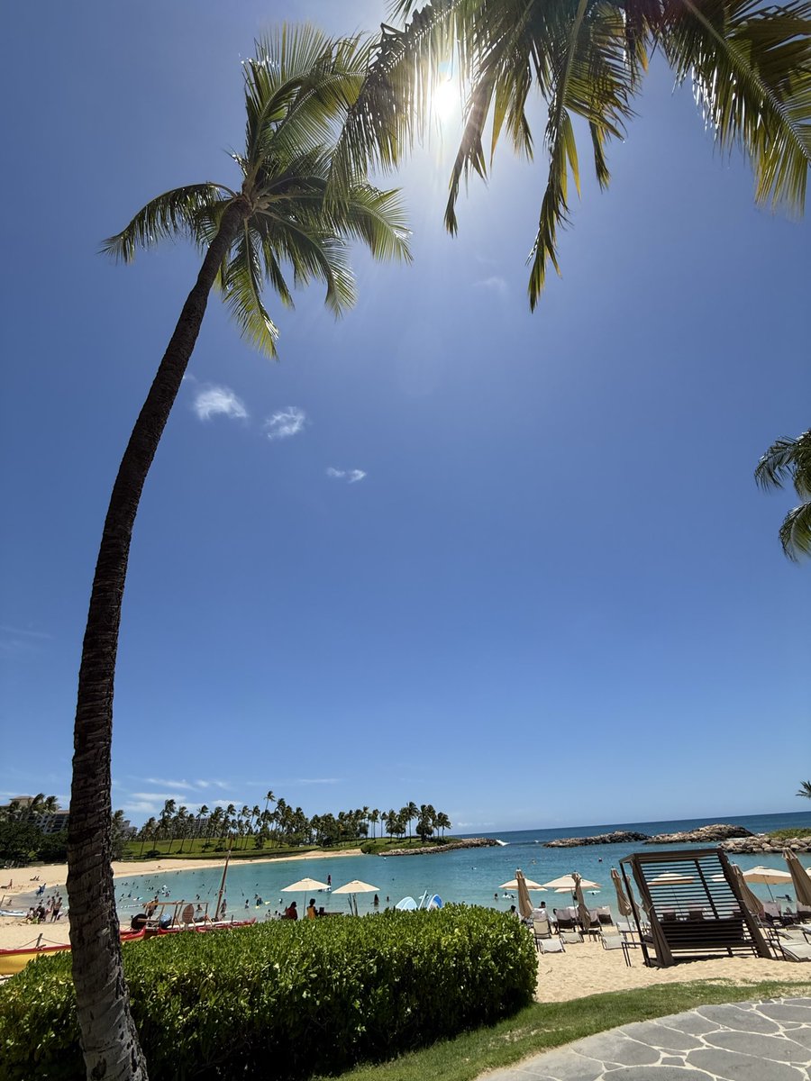 Aziz Alazzaz | عزيز tweet media