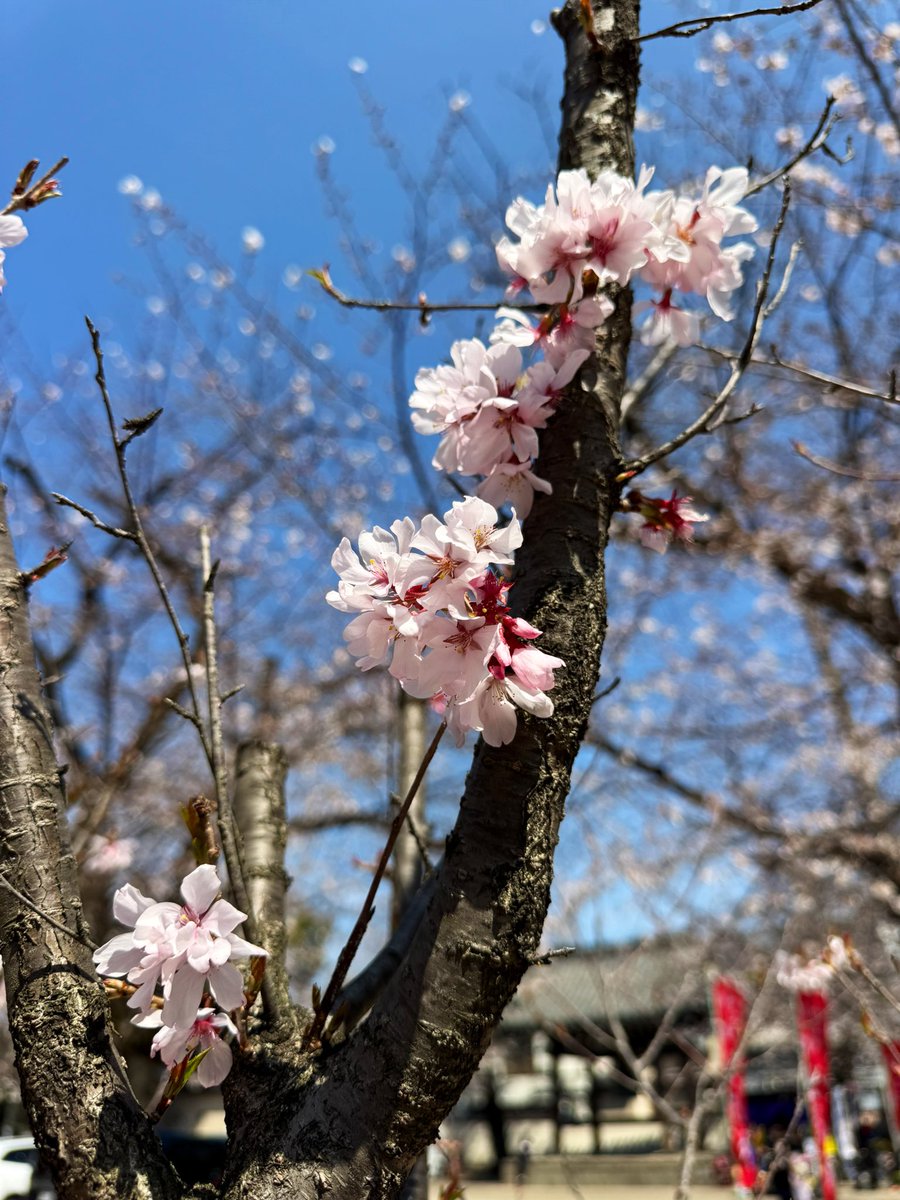 ako kimizuka tweet media