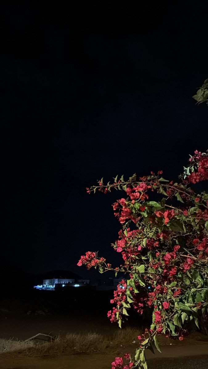 خالد tweet media