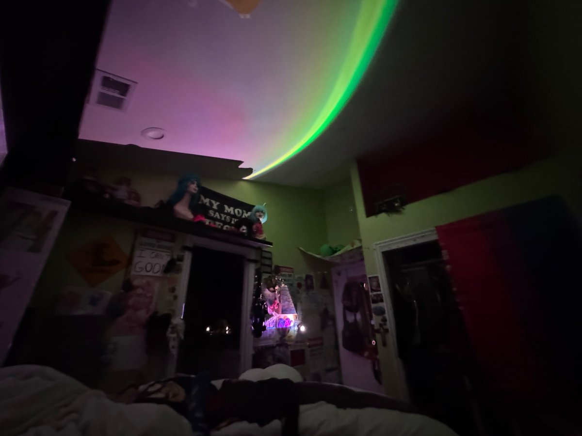 Erection of shedtwt tweet media