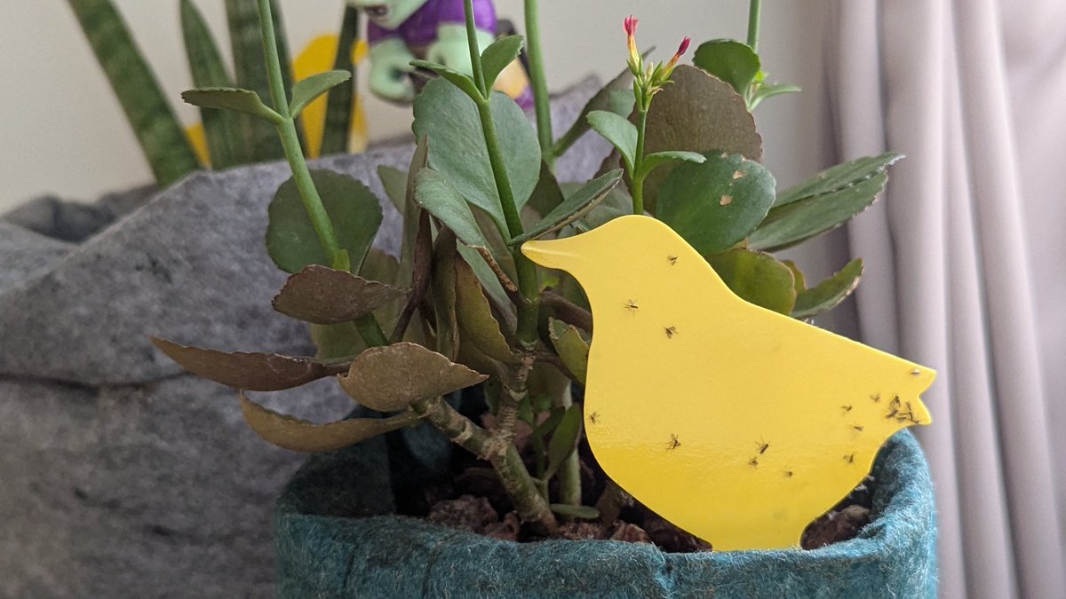 打字機阿伯 tweet media