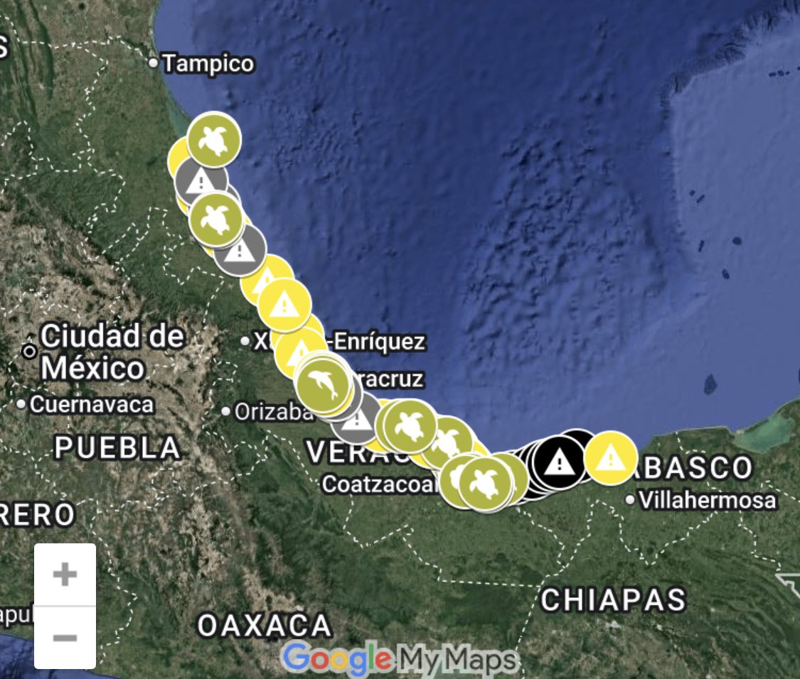 Abraham E. Vela Dib tweet media