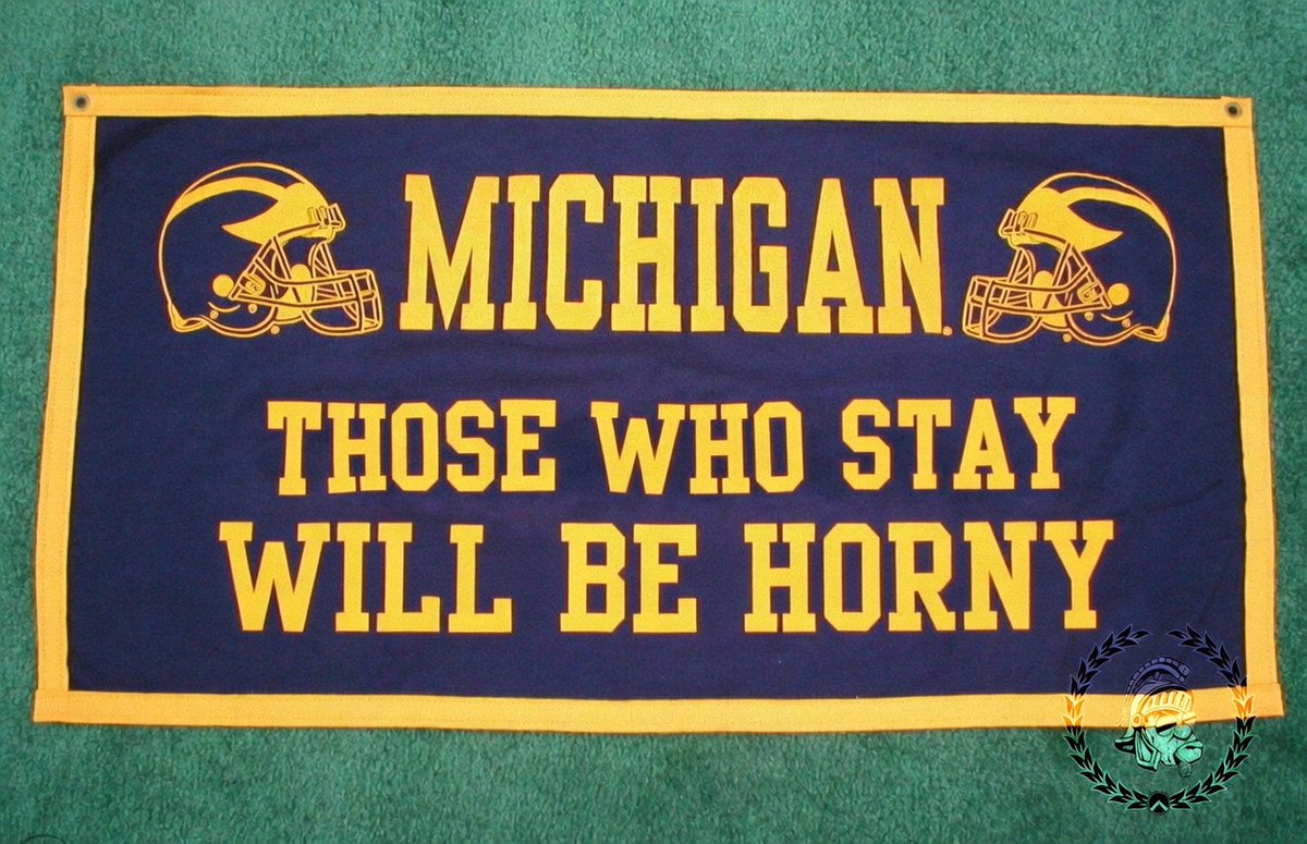 MSUGruff tweet media