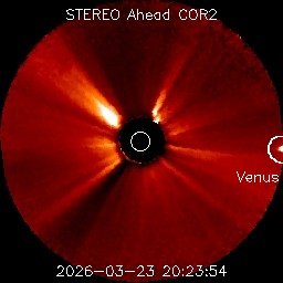 Stream Martial tweet media