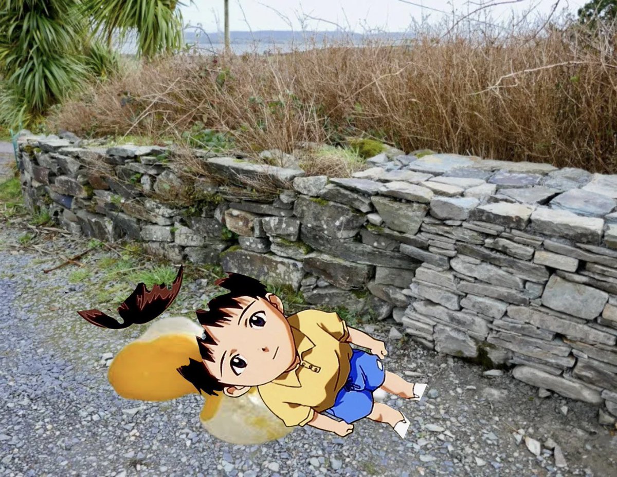 ris ⋆˚. ..𓂃 ࣪ ִֶָ🪽་༘࿐꩜. * tweet media