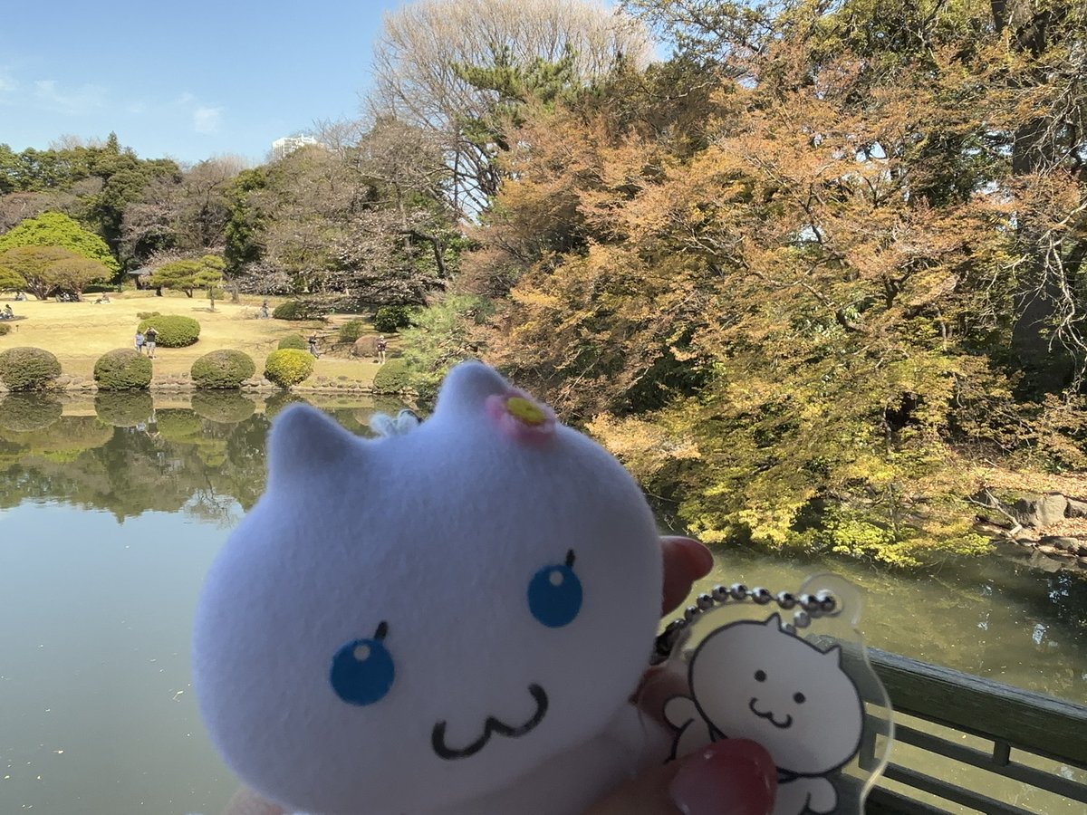 しろねこちゃん in 新宿御苑
#さすねこといっしょ