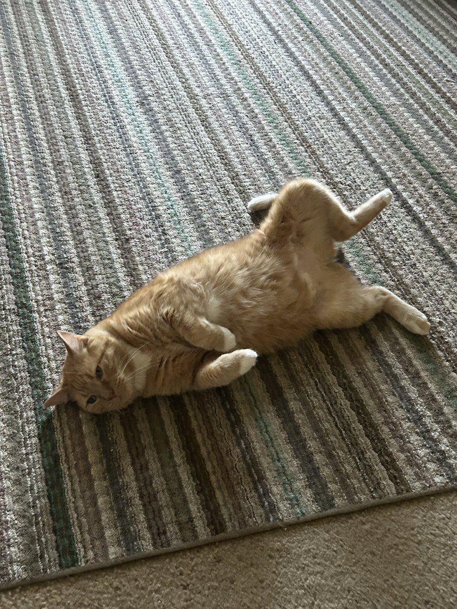 Thunderstixx tweet media