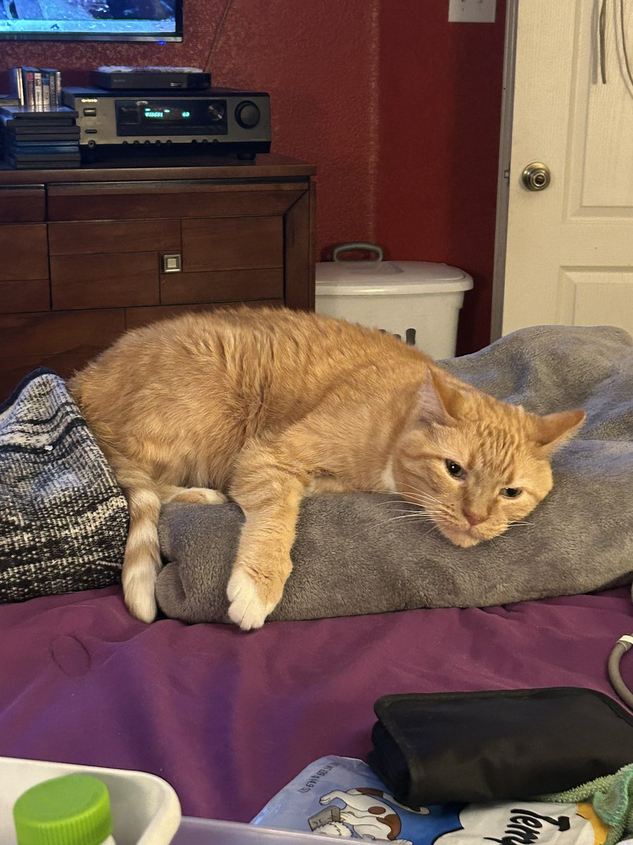 Thunderstixx tweet media