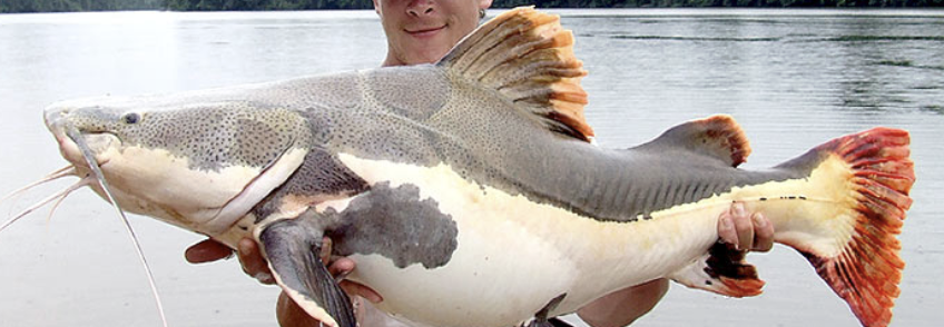 rory🐟 tweet media