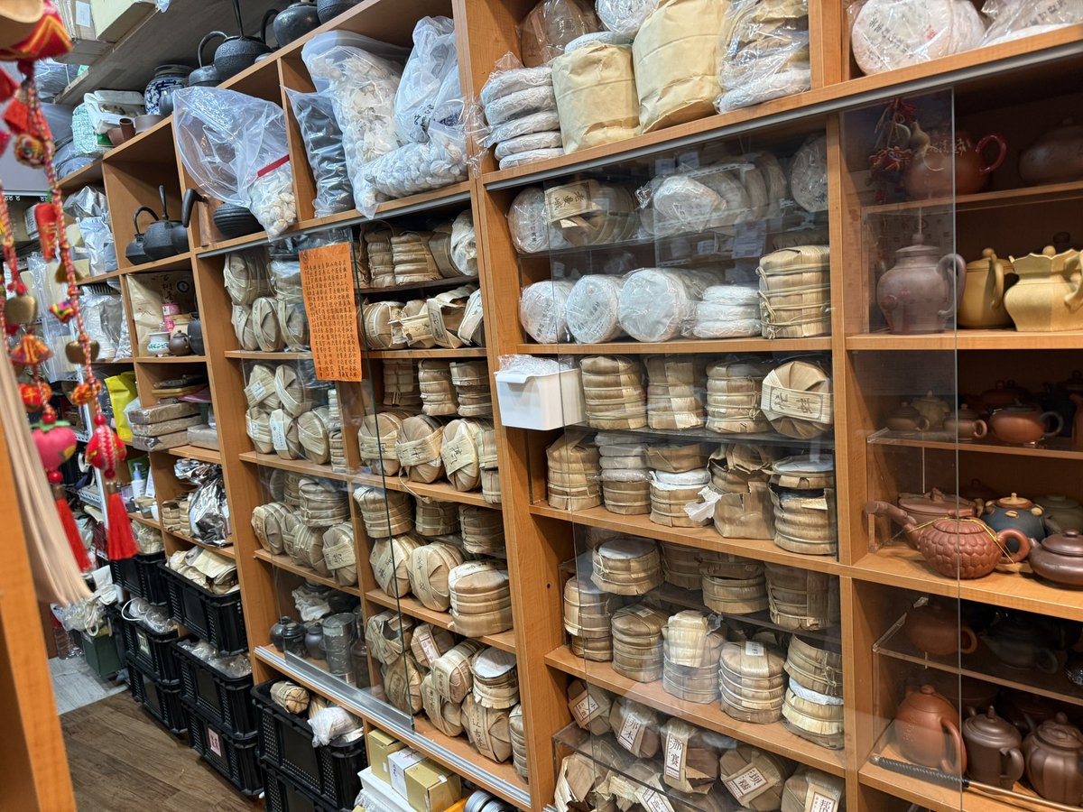 플래니모 Tea_Pilgrim tweet media