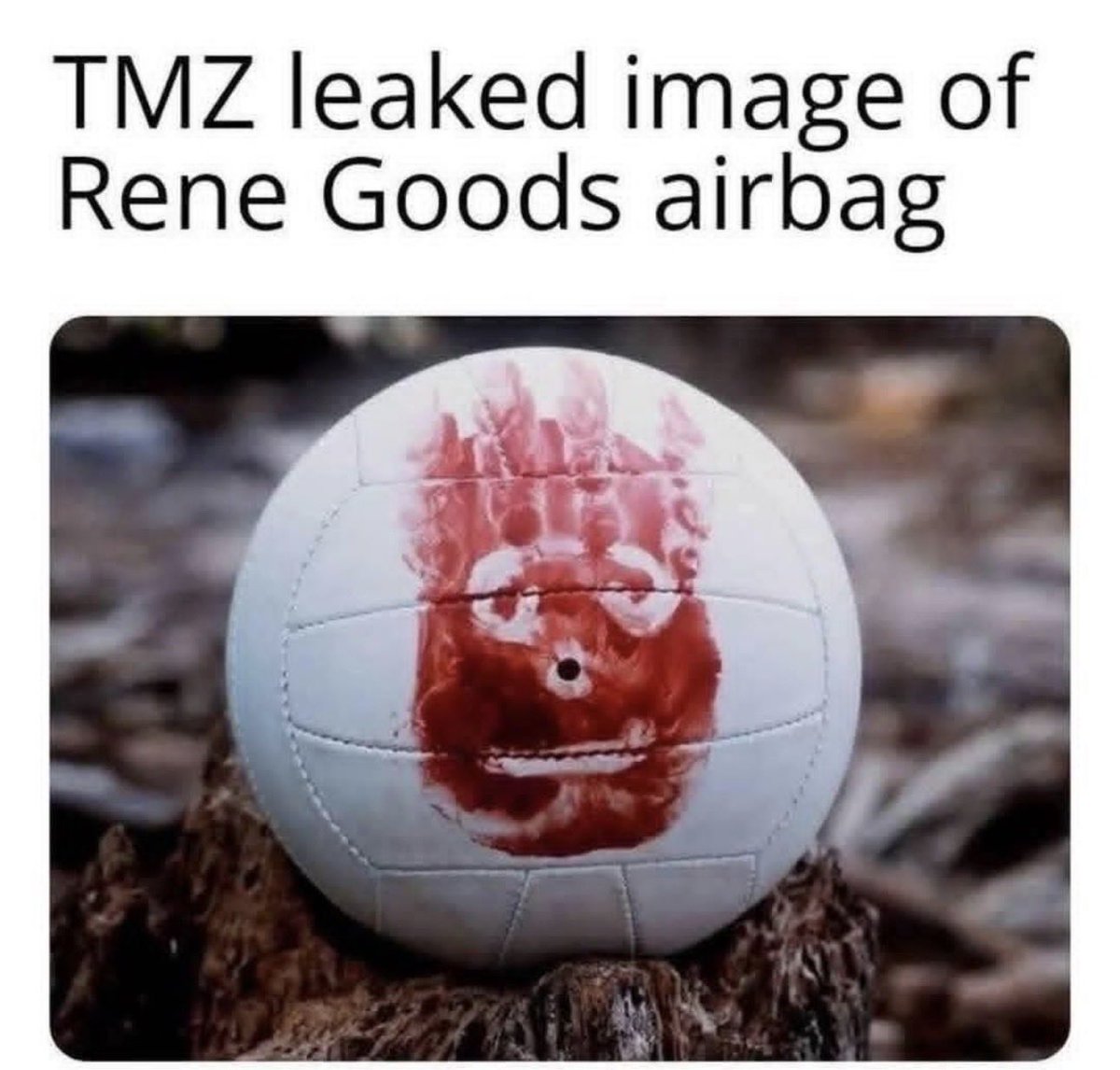 BasedBunBun tweet media