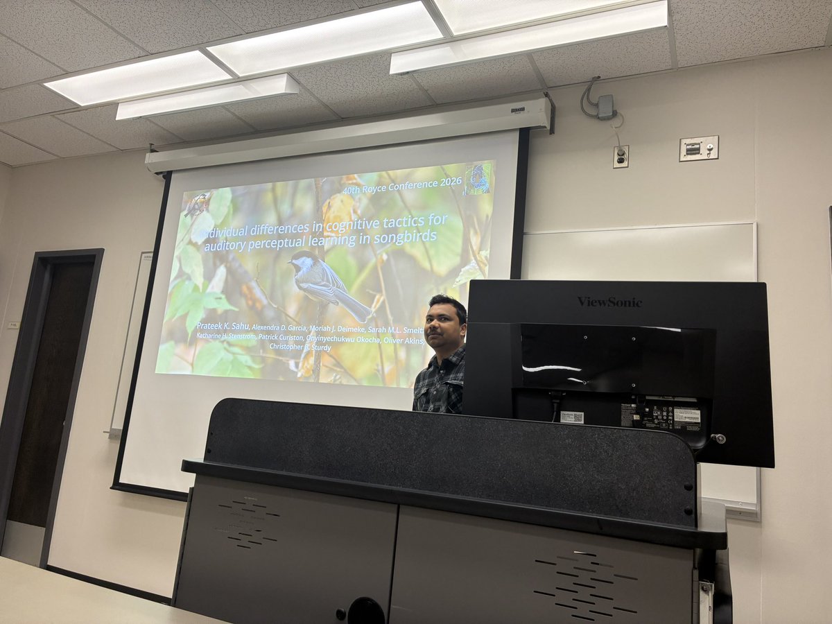 Songbird Neuroethology Laboratory tweet media