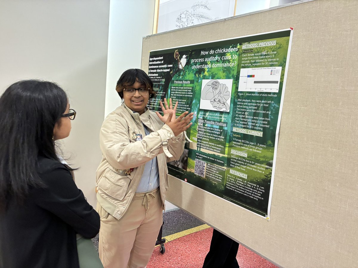 Songbird Neuroethology Laboratory tweet media