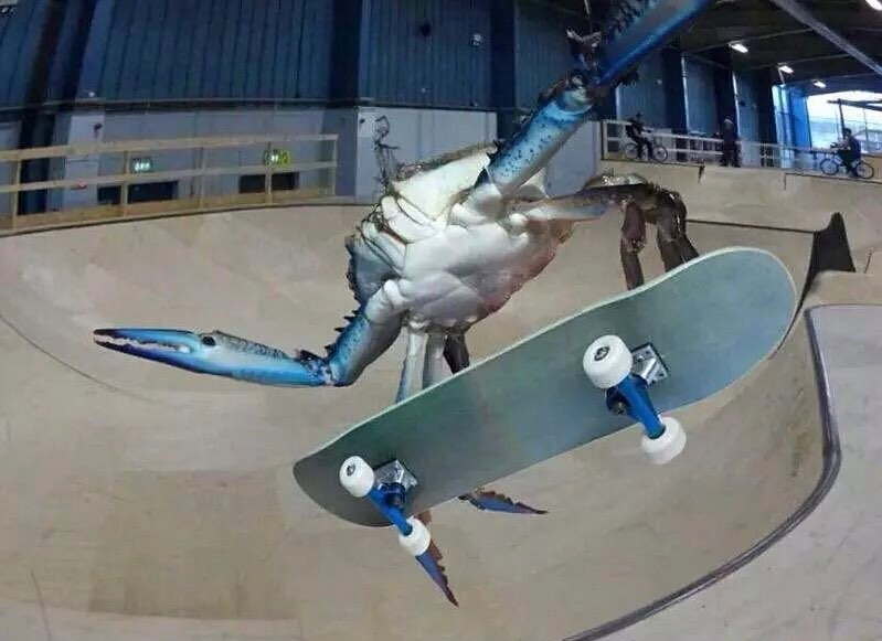 OMEGARAM42 tweet media