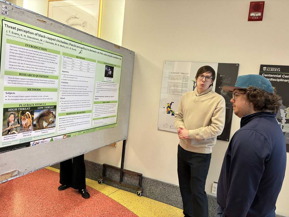 Songbird Neuroethology Laboratory tweet media