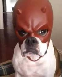 Hoy fue un dia color carmesi, Puras Derrotas