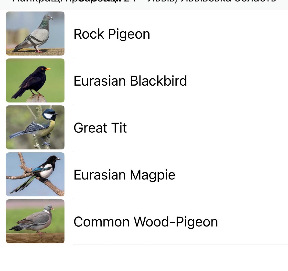 кася міся tweet media