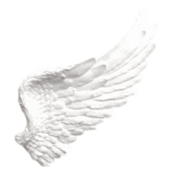 angel mama tweet media