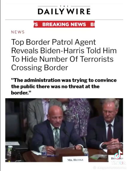 Ellie Harrington tweet media