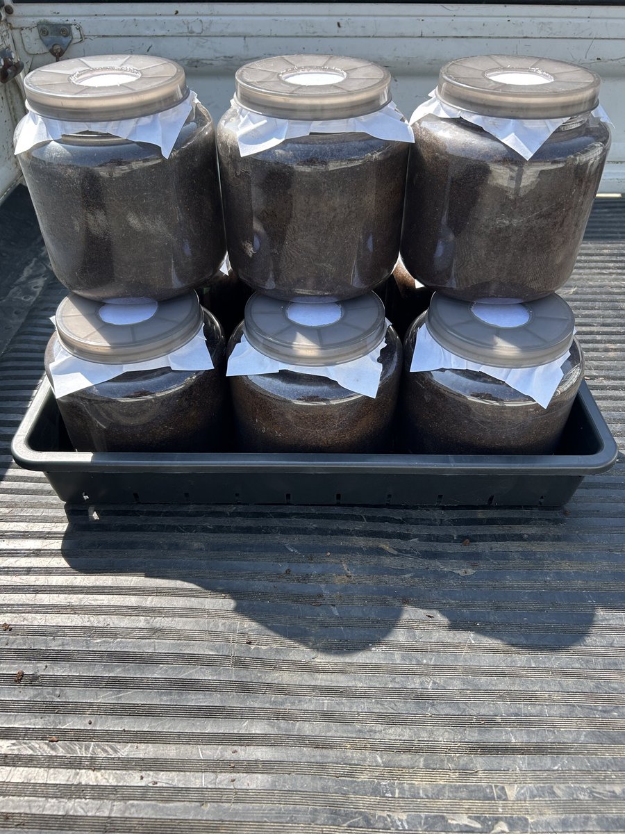 すーまーとーらー tweet media