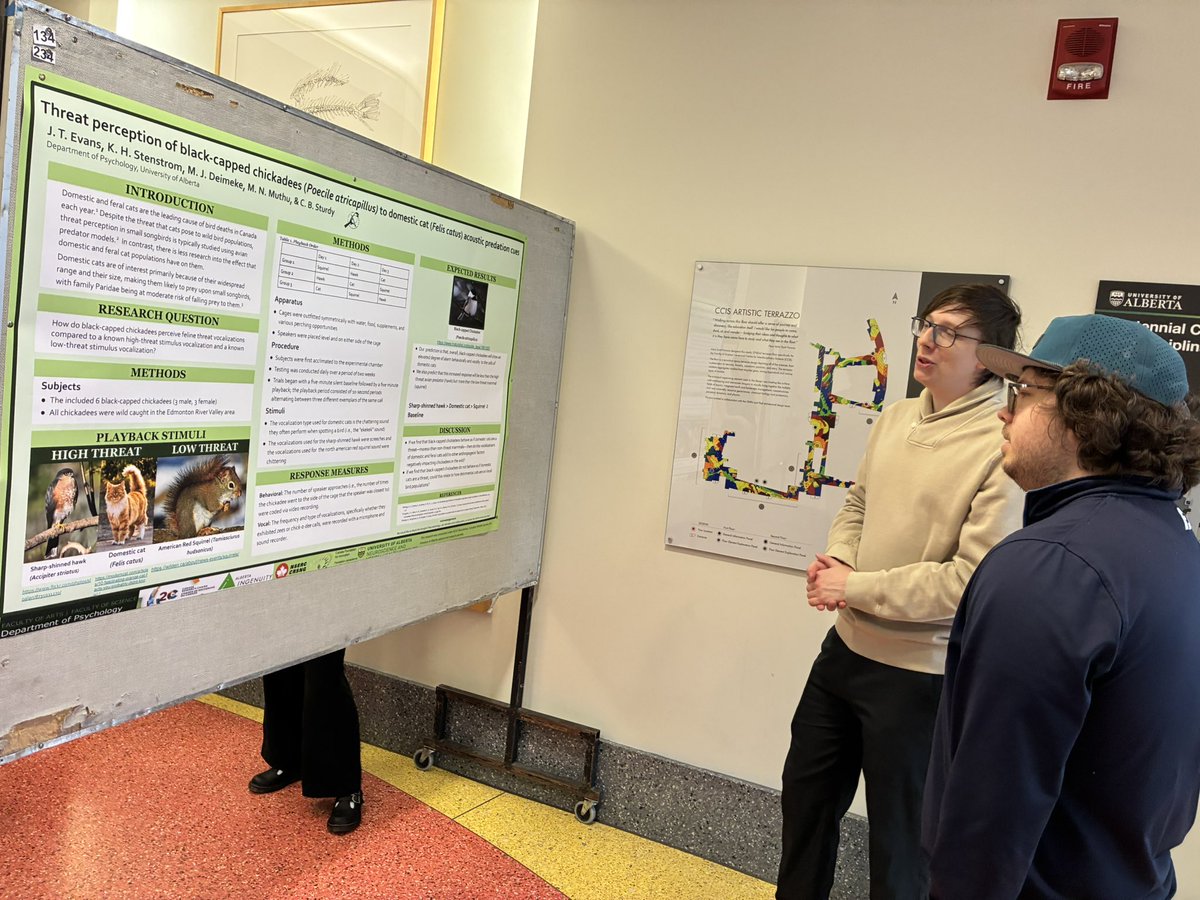 Songbird Neuroethology Laboratory tweet media