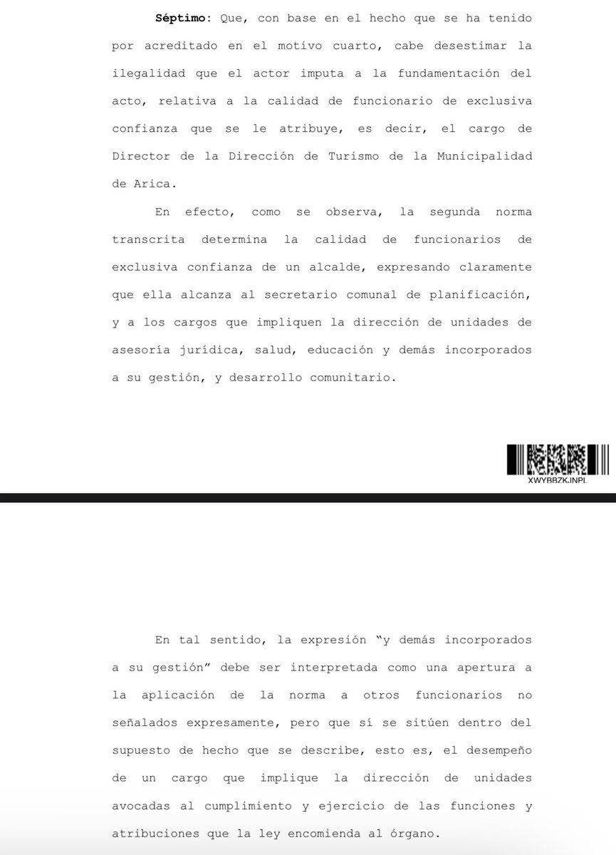 Alejandra tweet media