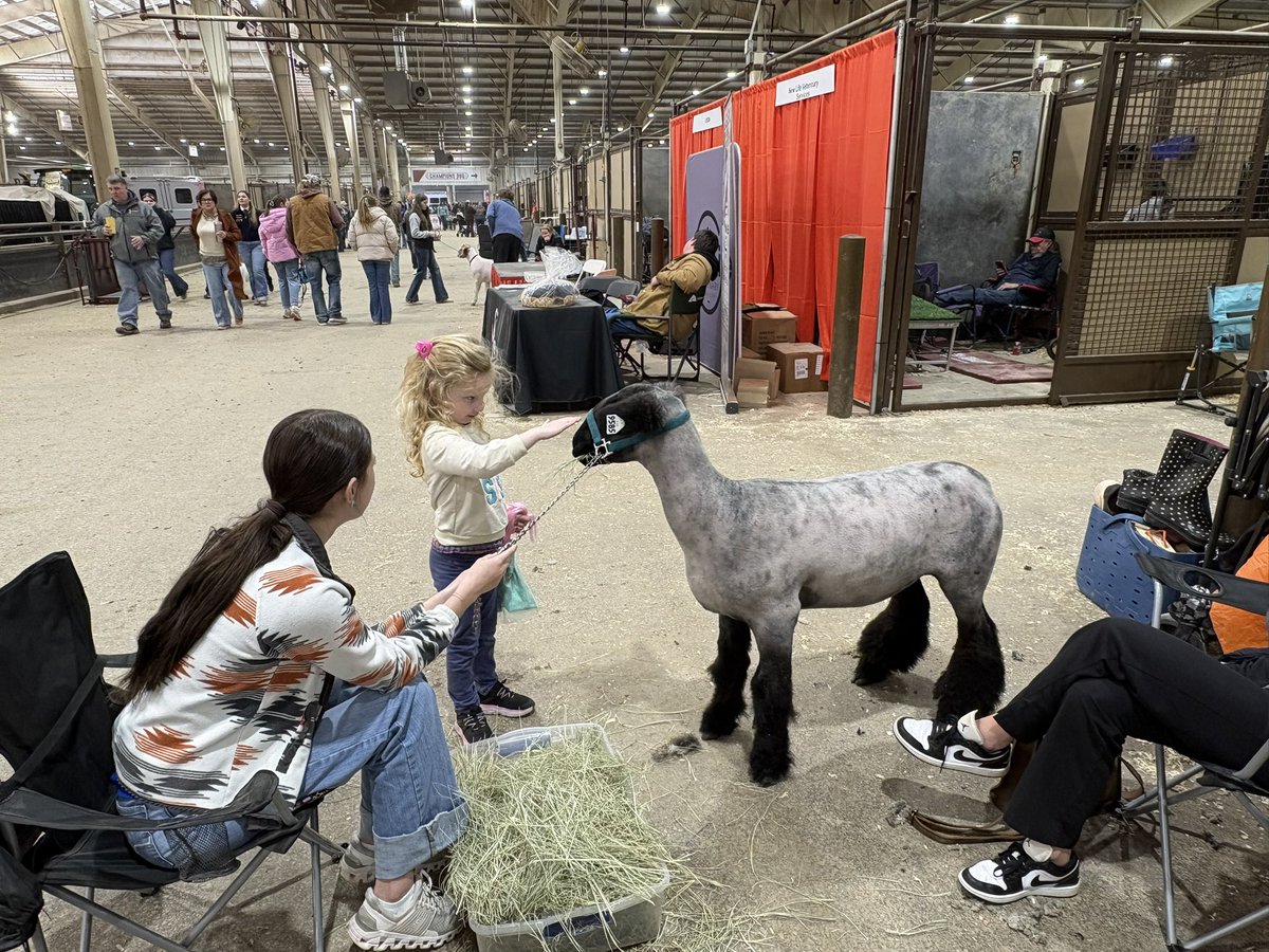 Brandon Baumgarten tweet media