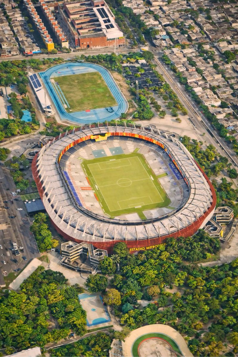 Cantillista 🪄⭐⭐ tweet media