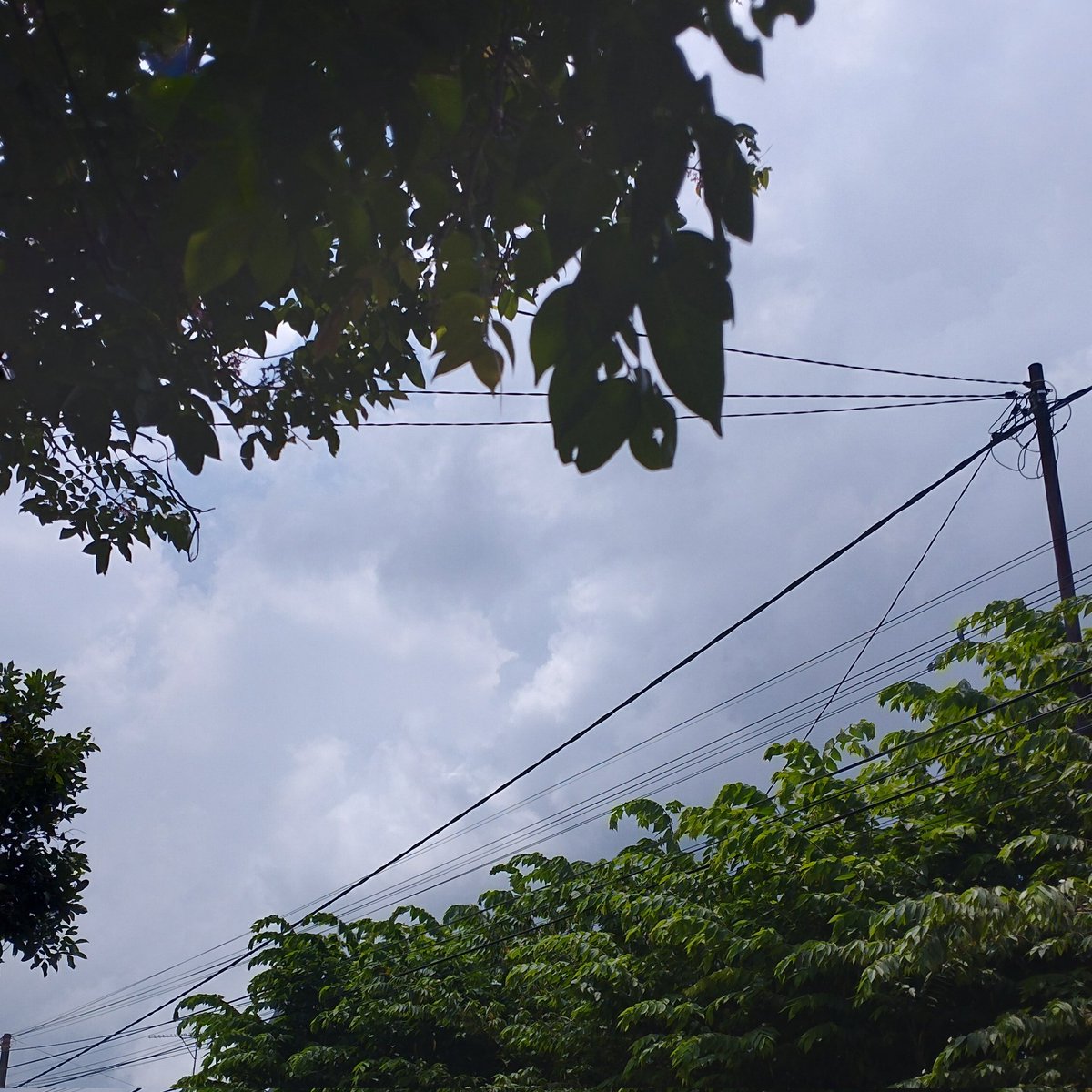 ˚˖𓍢ִ໋❀ tweet media