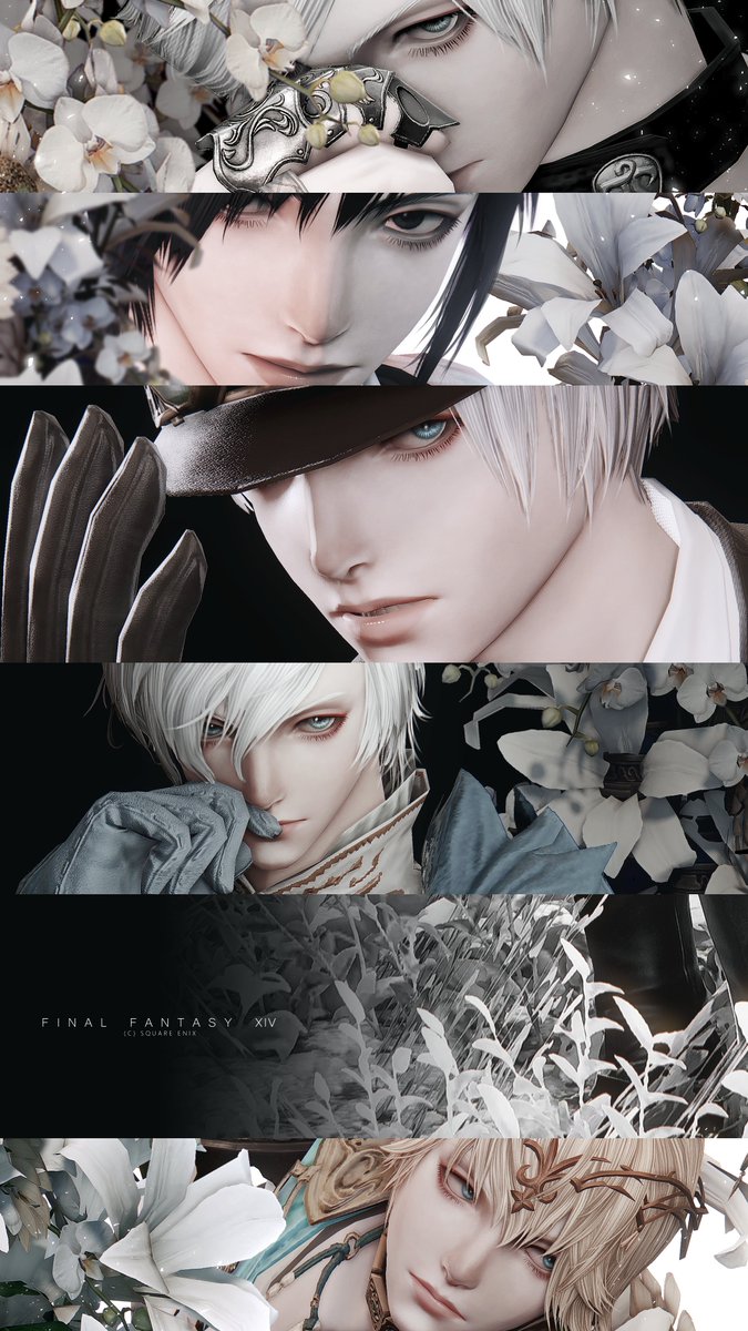 𝐄 𝐌 𝐎 tweet media