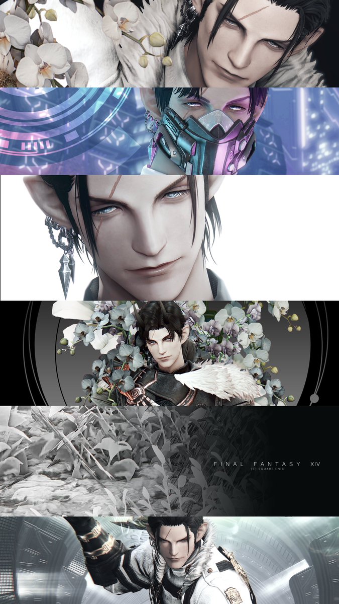 𝐄 𝐌 𝐎 tweet media