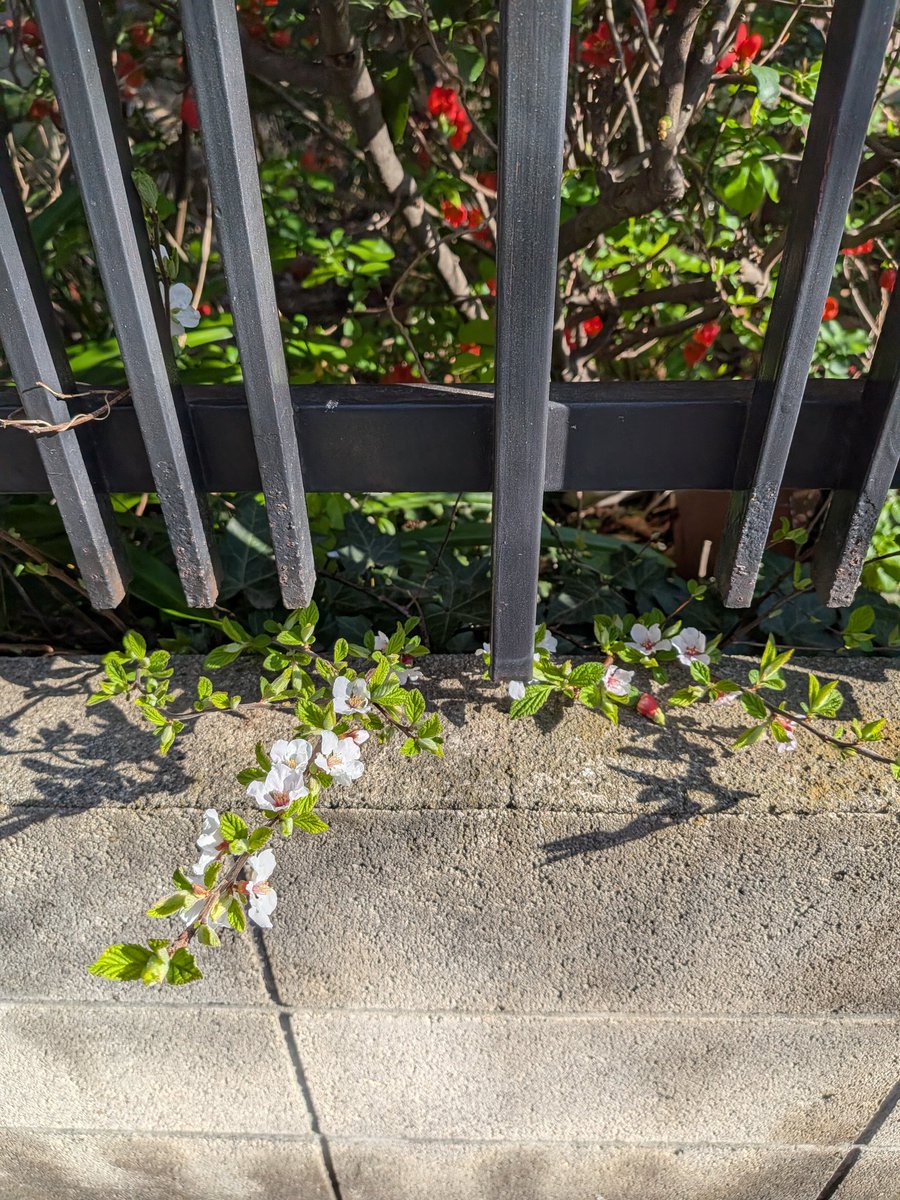 えびみ tweet media