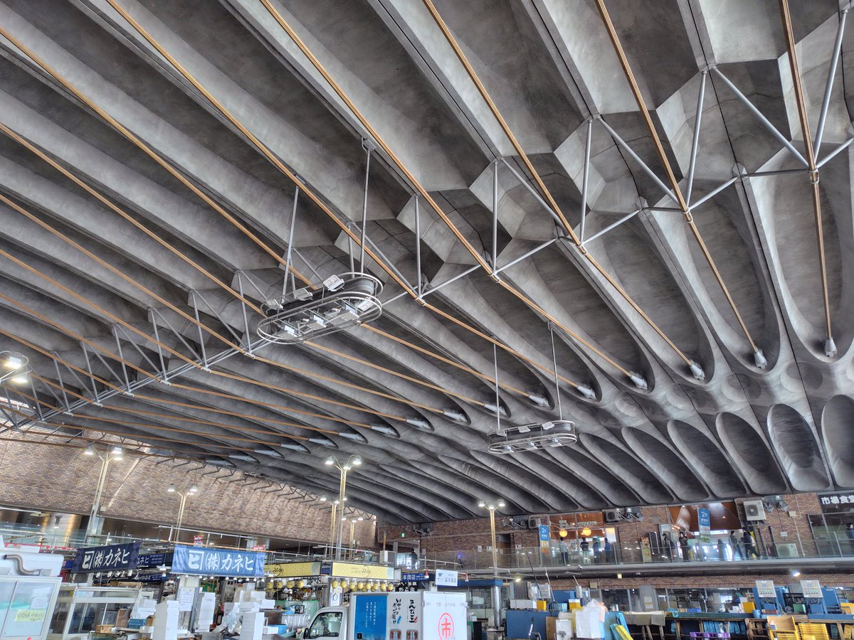 SHINNOSUKE FUJITA🇺🇦 tweet media