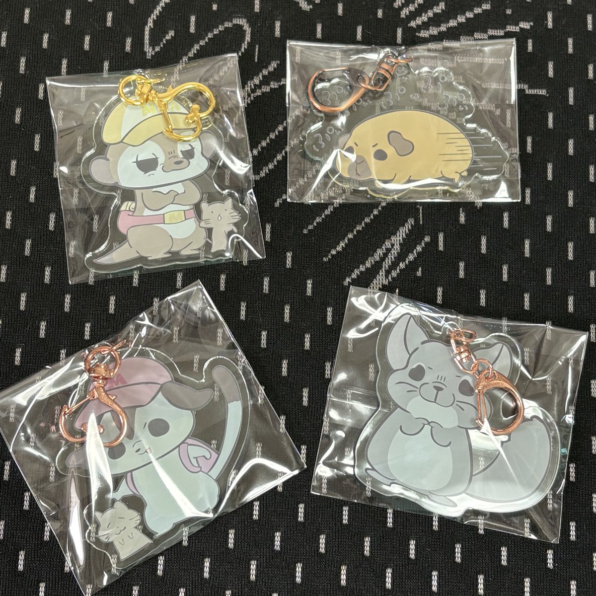 ぴぴ丸 tweet media