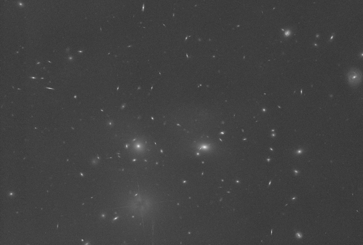 Andrew McCarthy tweet media