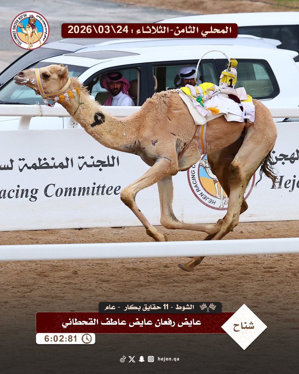 اللجنة المنظمة لسباق الهجن tweet media