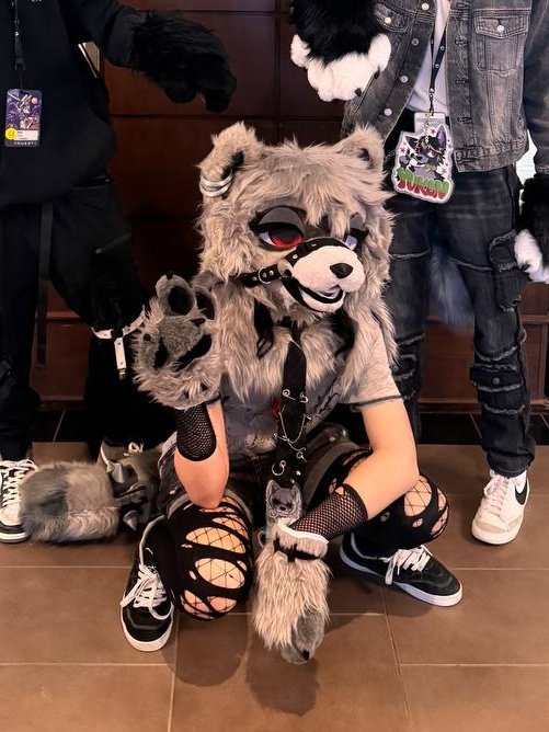 Hazard 🦝 🇨🇦 tweet media