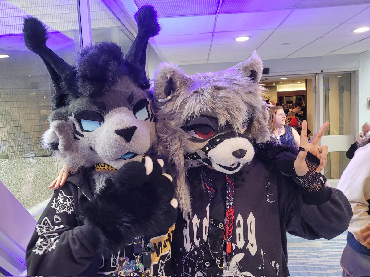 Hazard 🦝 🇨🇦 tweet media