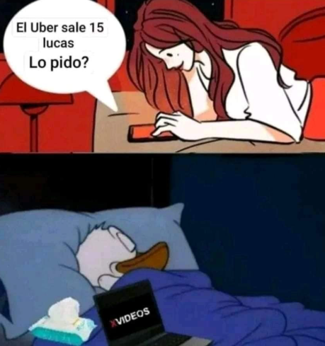 Rolita tweet media
