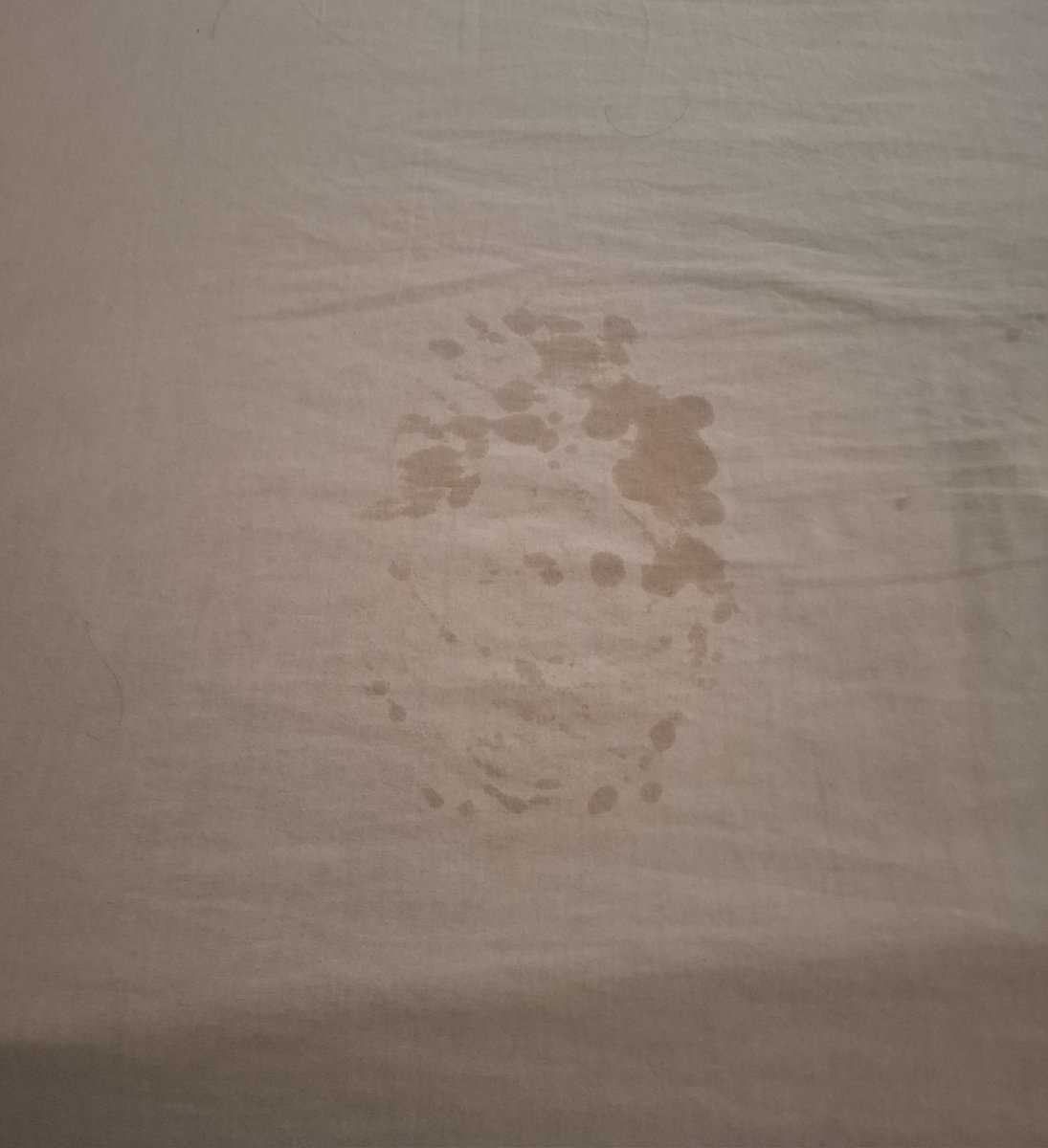 cᵢₖᵤ tweet media