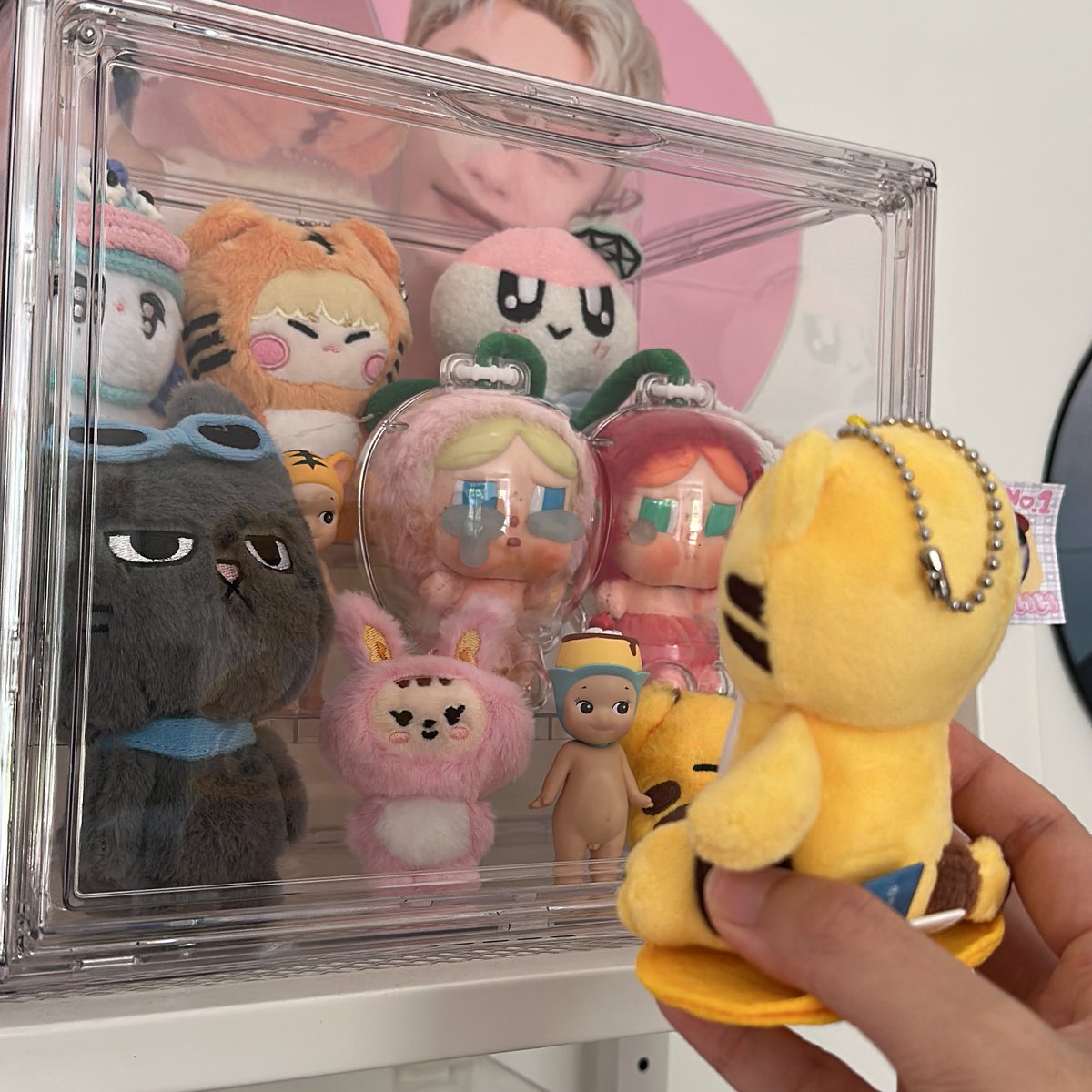 vio 🐯 tweet media