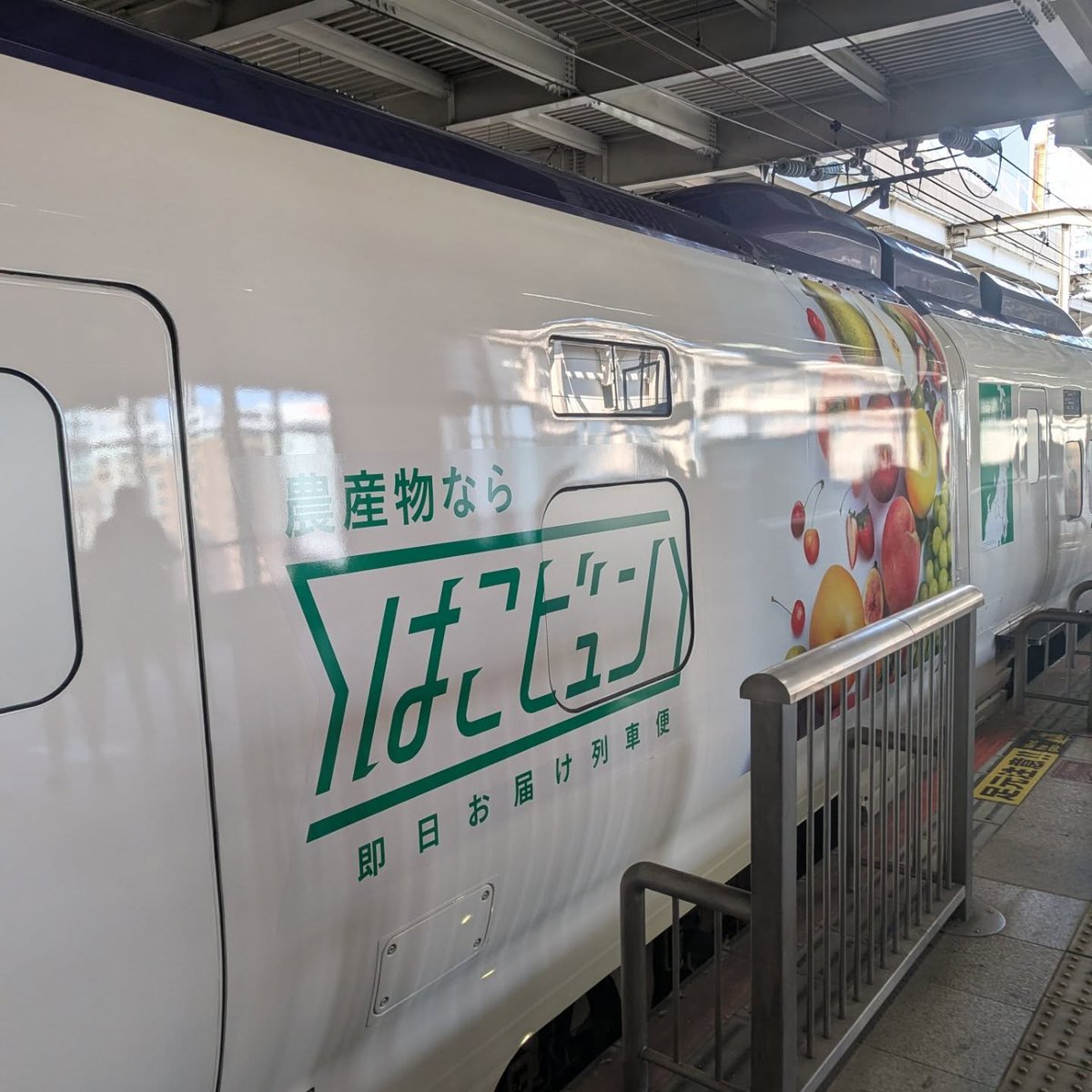 渡部竜也|プロスパインはマグネットギアの会社です tweet media