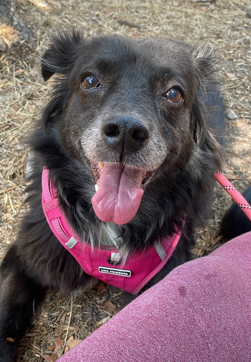 The poor thing in the road tweet media