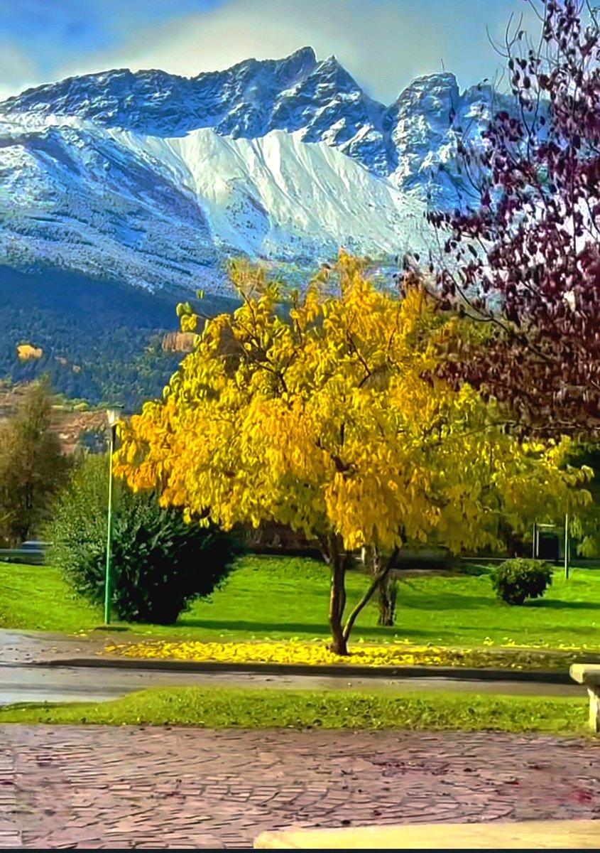 Adrigara tweet media