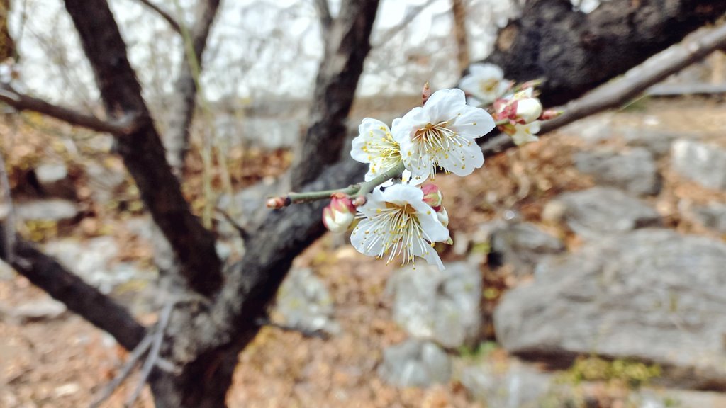 의식의 흐름 tweet media